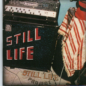 Still Life Project
