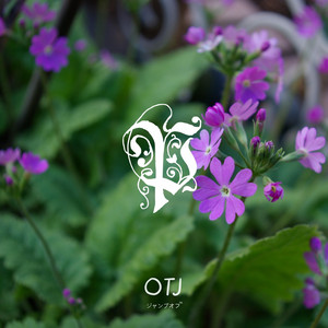 Primrose by Ibrahim