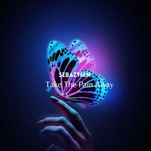 Take The Pain Away (Radio edit) by Sebaztian