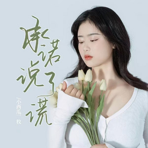 承诺说了谎 (Dj阿能版伴奏)