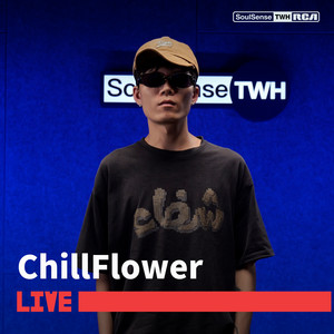 迷失的鸟 - From SoulSense TWH by chillflower, SoulSense TWH