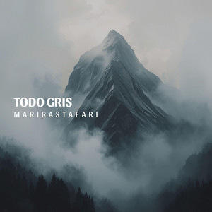 Todo gris by MariRastafari