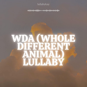 WDA (Whole Different Animal)