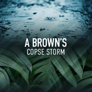 A Brown's Copse Storm album
