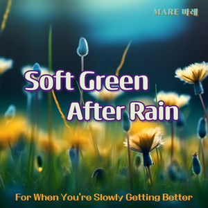 Soft Green After Rain by MARE 마레