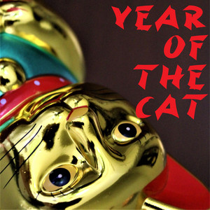 Year Of The Cat - Radio Edit