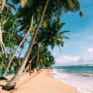 taj4598 - Praia (Paraíso Tropical)