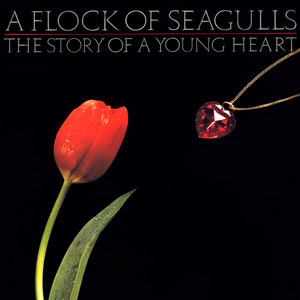 The More You Live, the More You Love - Full Moon Mix by A Flock Of Seagulls