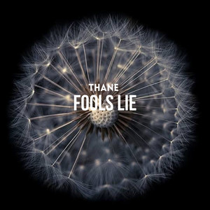 Fools Lie - Radio Edit by Thane