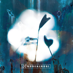 Amurekimuri — Amurekimuri