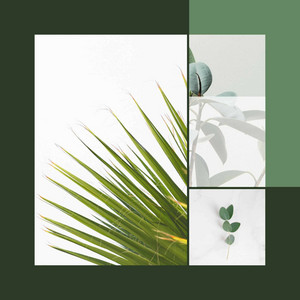 Tranquil (Deep Rest) album