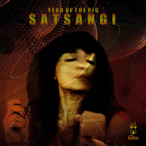 Year of the Pig by Satsangi