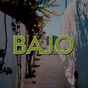 BAJO by Jones L3