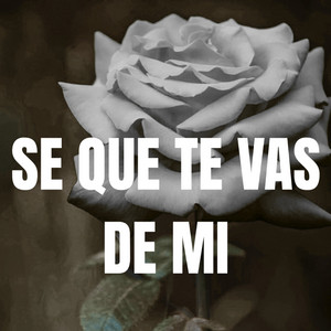 se que te vas de mi by LOKASO