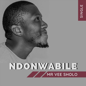 Mr Vee Sholo - Ndonwabile