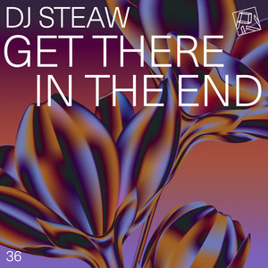 DJ Steaw · Get there in the end