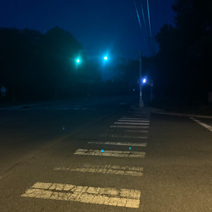 Streetlight