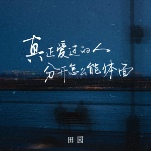 真正爱过的人分开怎么能体面 by 田园