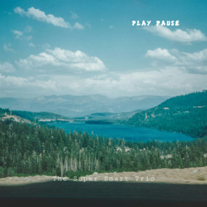 Play Pause