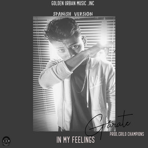 In my feelings - Spanish Version by Garate