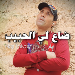 Naji Talyani - ضاع لي الحبيب