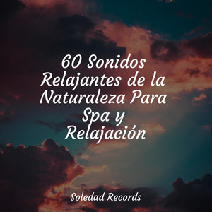 Musica para Meditar Especialistas poster