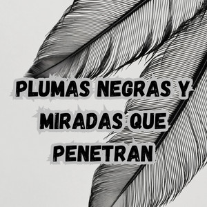 Julio Miguel & Los Incateños - Plumas Negras y Miradas Que Penetran
