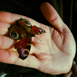 Ashes by Bracelet