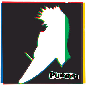 Directo 1979 — Puskarra