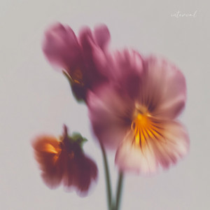 interval by Avery Foster