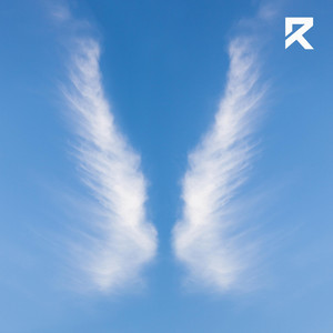 You're Never Alone - Radio Edit by Robert Dani
