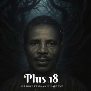 Plus 18