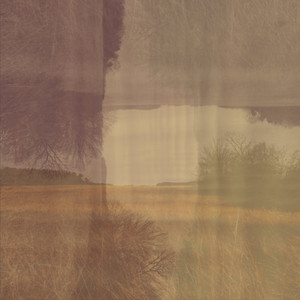 Portada de Bloom