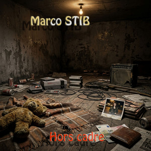 Mes joies alitées by Marco Stib