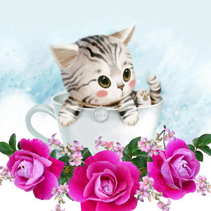 Sounds that attract cats - Meow to make cats come to you - song ...
