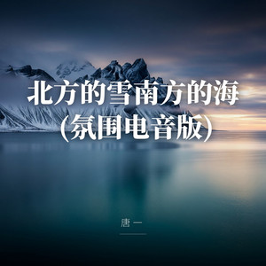 北方的雪南方的海 (氛围电音版) by 唐一