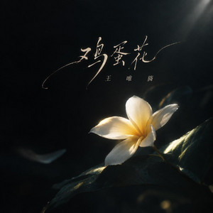 鸡蛋花 by 王唯旖