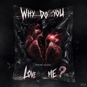 Why Do You Love Me? by Young Harry