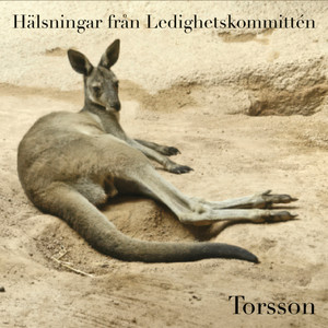 Skicka Mina Kläder by Torsson