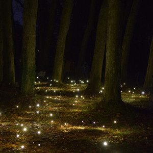 Firefllies Fantasia by Cirino Franco