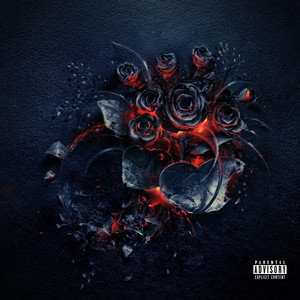 DMG CNTRL (DELUXE) cover