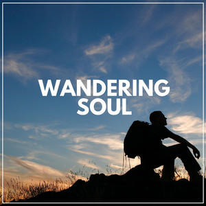 Wandering Soul album