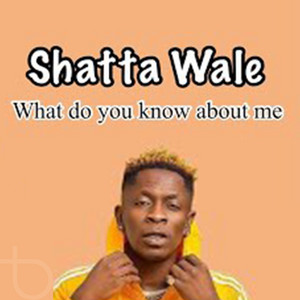 Shatta Wale - What Do You Know About Me