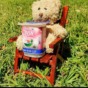 Bear Yogurt - pink panther