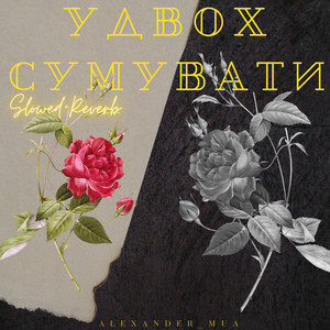 ALEXANDER_MUA — Удвох сумувати (Slowed+Reverb)
