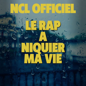 Le rap a niquer ma vie