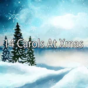 14 Carols At Xmas album