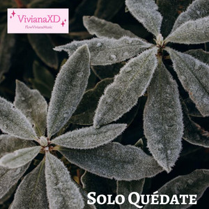 Solo Quédate by VivianaXD