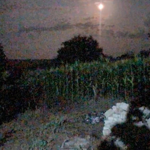 darko - you gave me insomnia