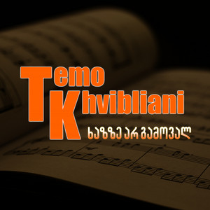 Temo Khvibliani - ხაზზე არ გამოვალ